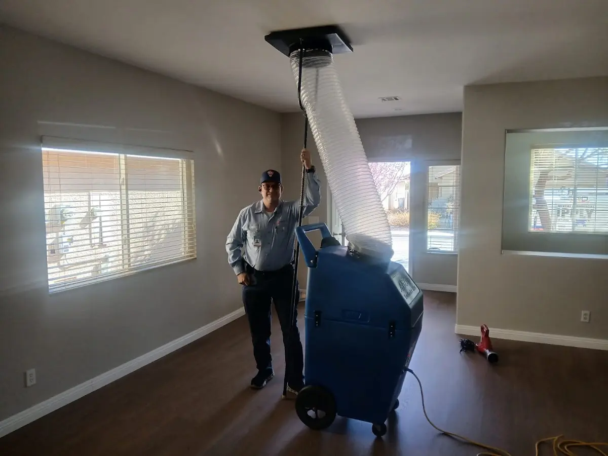 Professional Dryer Vent Cleaning work inside a Malone home